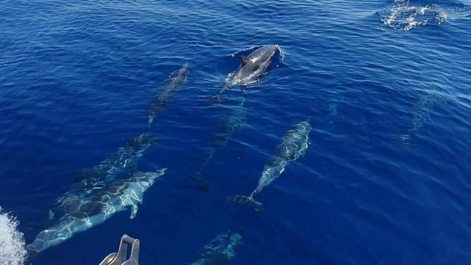 Dolcesosta B&B Marina Di Pulsano Eksteriør billede