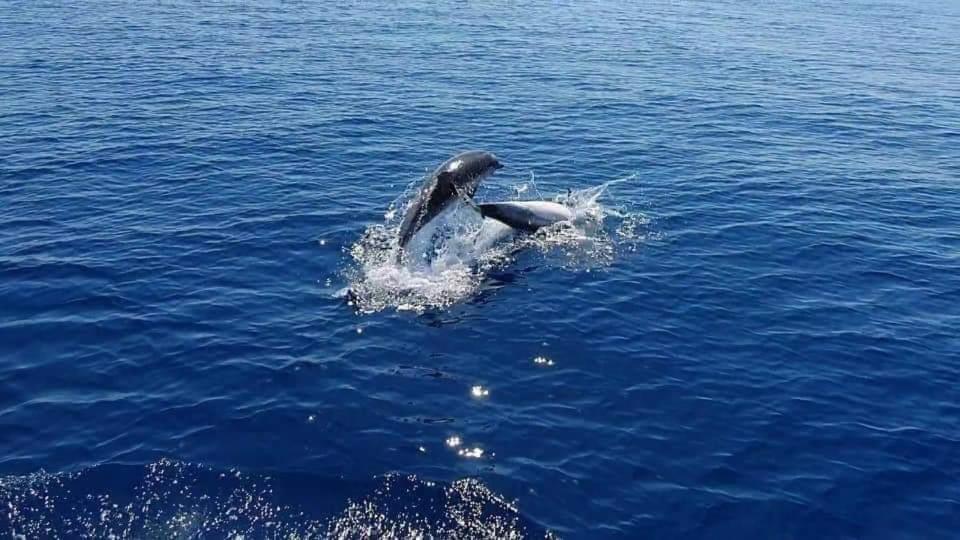 Dolcesosta B&B Marina Di Pulsano Eksteriør billede
