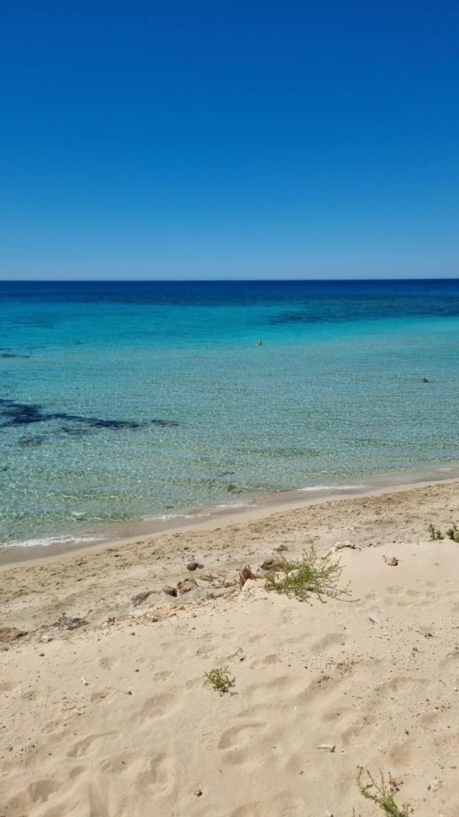 Dolcesosta B&B Marina Di Pulsano Eksteriør billede